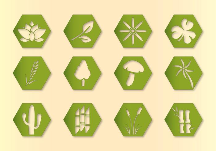 700x490 Hex Vector Plants Icons