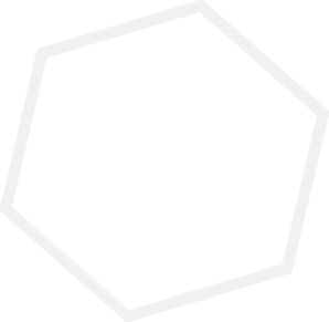 298x291 Hexagon Trans Clip Art