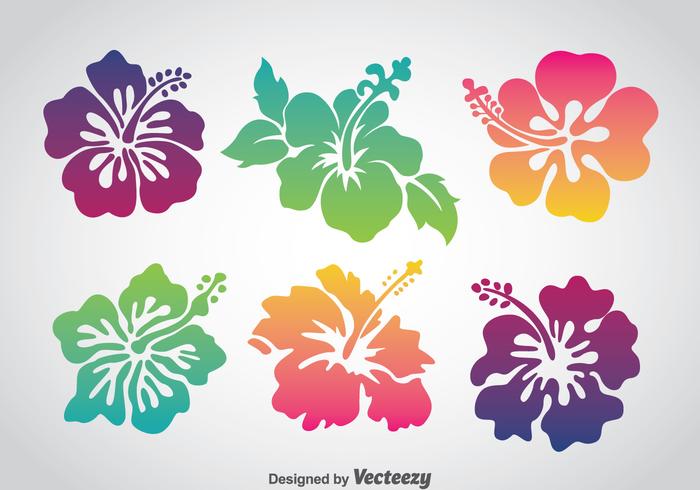 700x490 Hibiscus Free Vector Art