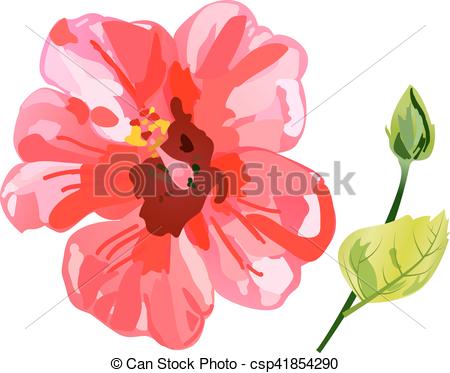 450x373 Red Watercolor Hibiscus Flower. Vector Illustration Isolated On