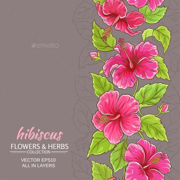 590x590 Hibiscus Vector Background By Cuttlefish84 Graphicriver