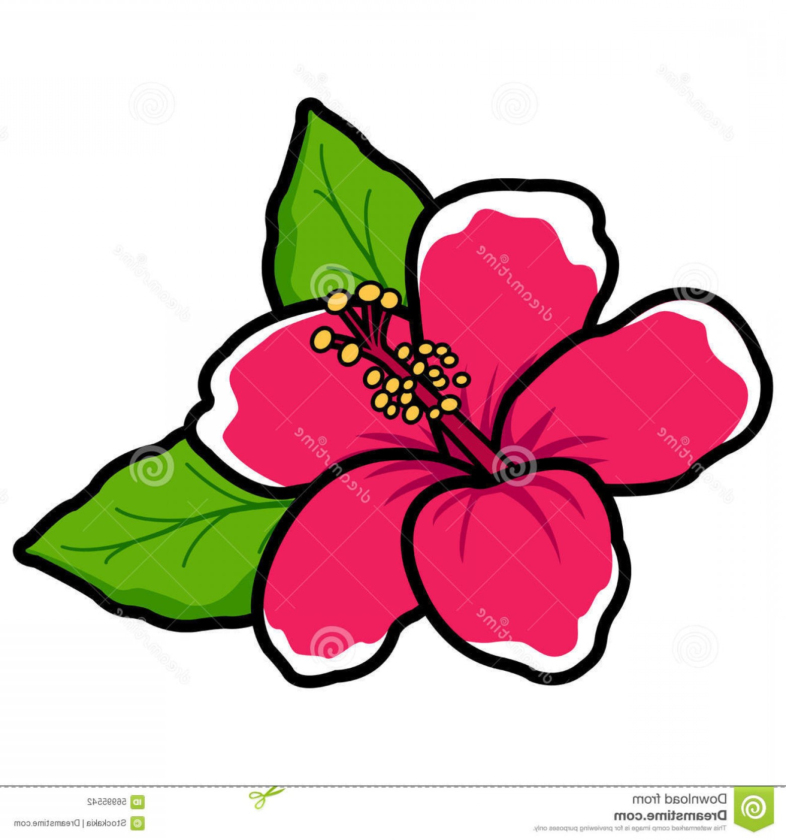 1560x1668 Stock Illustration Hawaiian Hibiscus Flower Vector Illustration