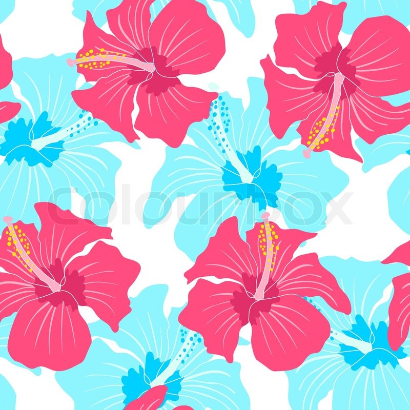 800x800 Vector Seamless Pattern With Hibiscus Stock Vector Colourbox