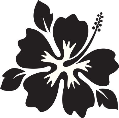 417x412 Hibiscus Vector Id165601629 Roxy