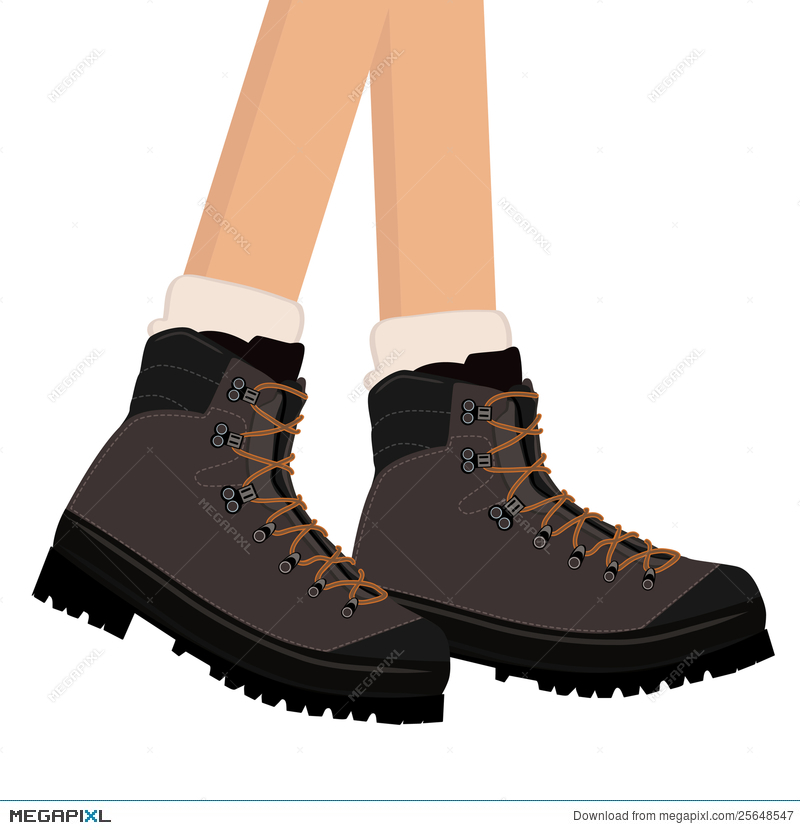 800x830 Hiking Boots Vector Illustration 25648547