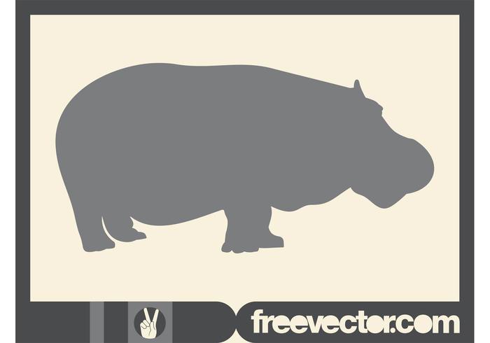 700x490 Hippo Vector