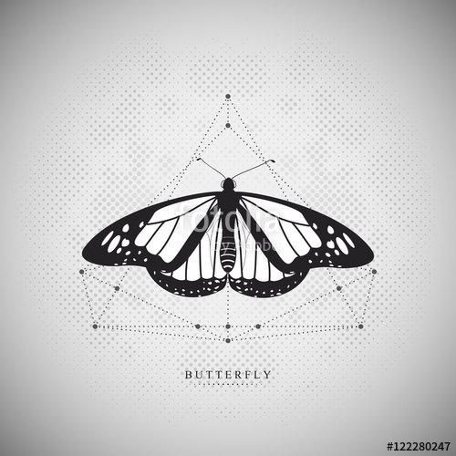 500x500 Butterfly On An Abstract Doted Mesh. Illustration With Geometric