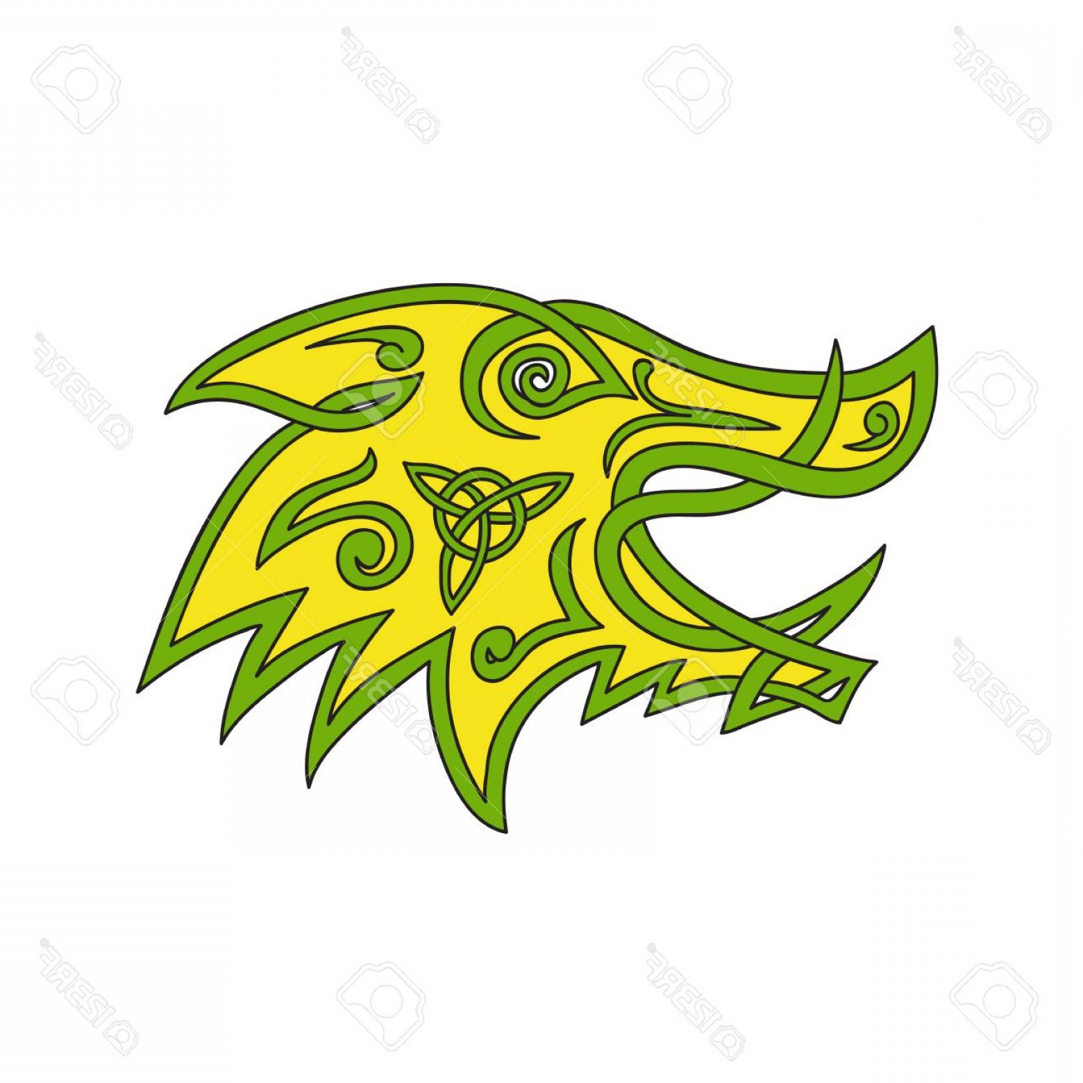 1560x1560 Photostock Vector Celtic Knot Stylized Illustration Of A Wild Boar