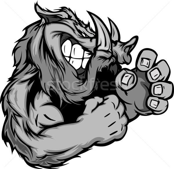 600x583 Wild Pig Stock Photos, Stock Images And Vectors Stockfresh