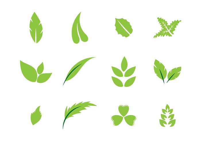 700x490 Hojas Vector 2