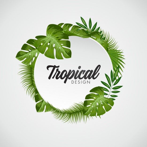 626x626 Leaf Vector Image Fondo De Hojas Tropicales Vector Gratis Only