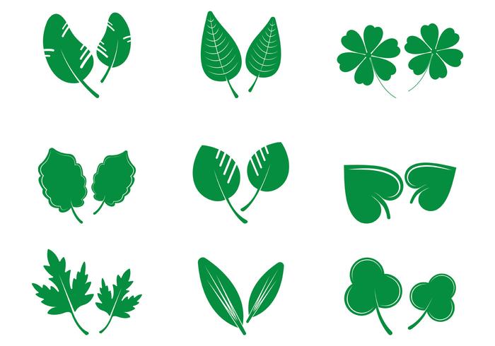 700x490 Set Of Hojas Icon