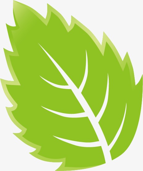 463x553 Vector Leaf, Leaf Vector, Leaves, Trees Png And Vector For Free