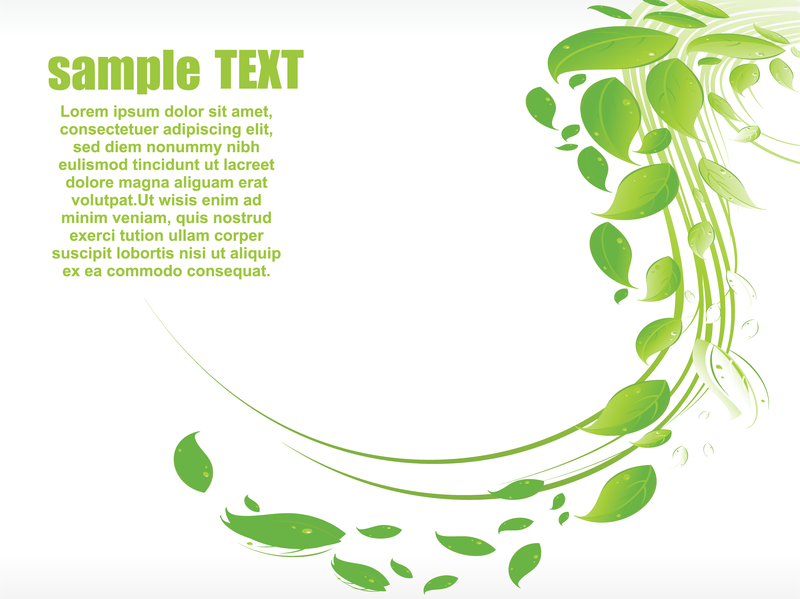 800x599 Vector Leaves The Earth