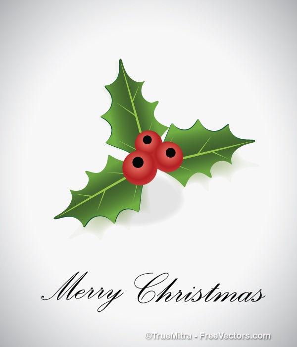 600x700 Holly Berry Vectors, Photos And Psd Files Free Download