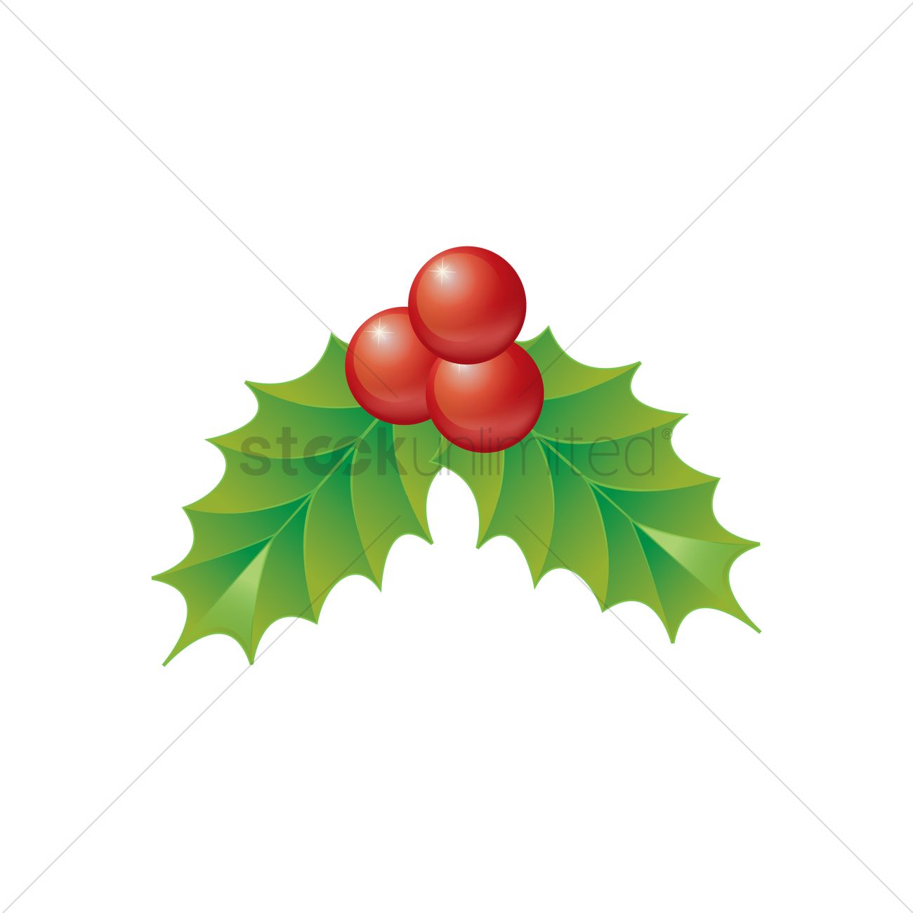 1300x1300 Holly Berry Vector Image