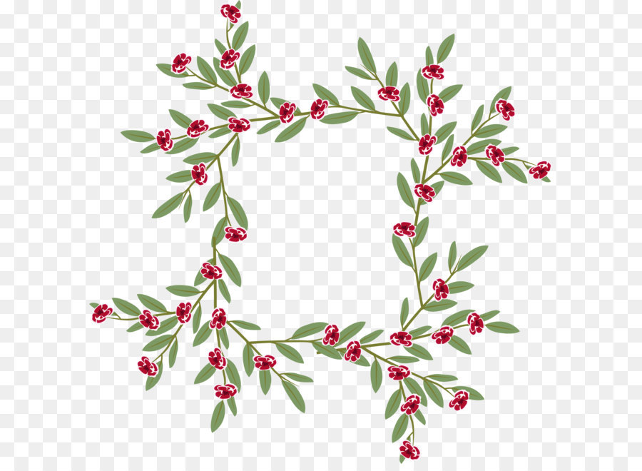 900x660 Holly Euclidean Vector