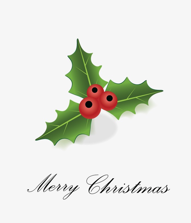 650x757 Holly Leaves, Christmas, Vector, Leaf Png And Vector For Free Download