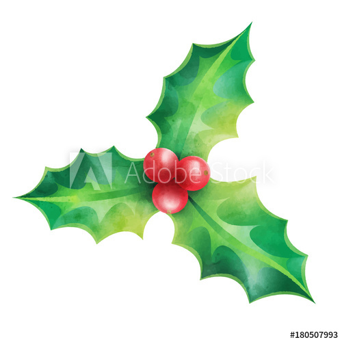 500x500 Christmas Ornament, Holly Vector Illustration Isolated On White