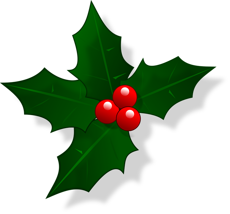 774x720 Collection Of Free Holly Vector Illustration. Download On Ubisafe