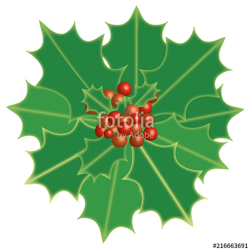 500x500 Holly Berry. Christmas Theme Symbolic Plants Holly, Vector Format