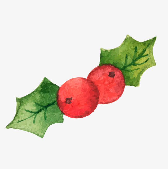 650x651 Vector Illustration Christmas Holly, Christmas Vector, Vector
