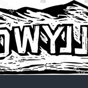 300x300 Black White Vector Illustration Hollywood Sign Sohadacouri