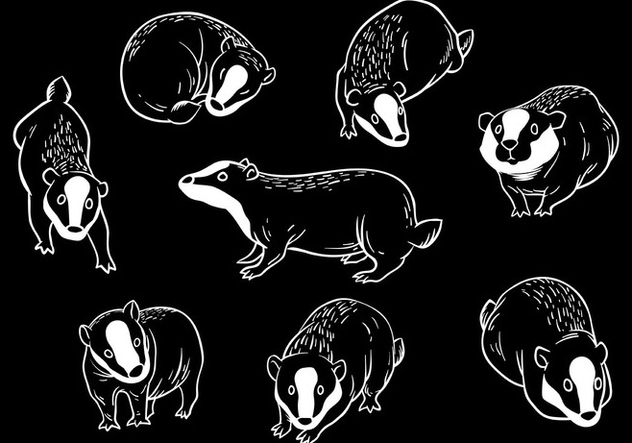 632x443 Free Honey Badger Icons Vector Free Vector Download 405997 Cannypic