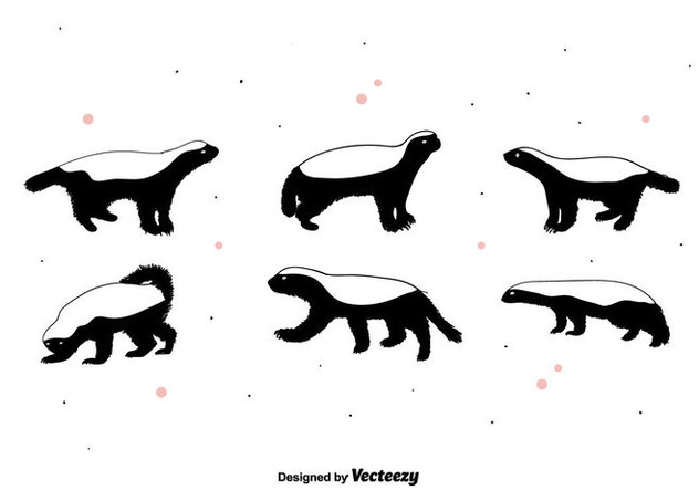 632x443 Honey Badger Vector Free Vector Download 395217 Cannypic