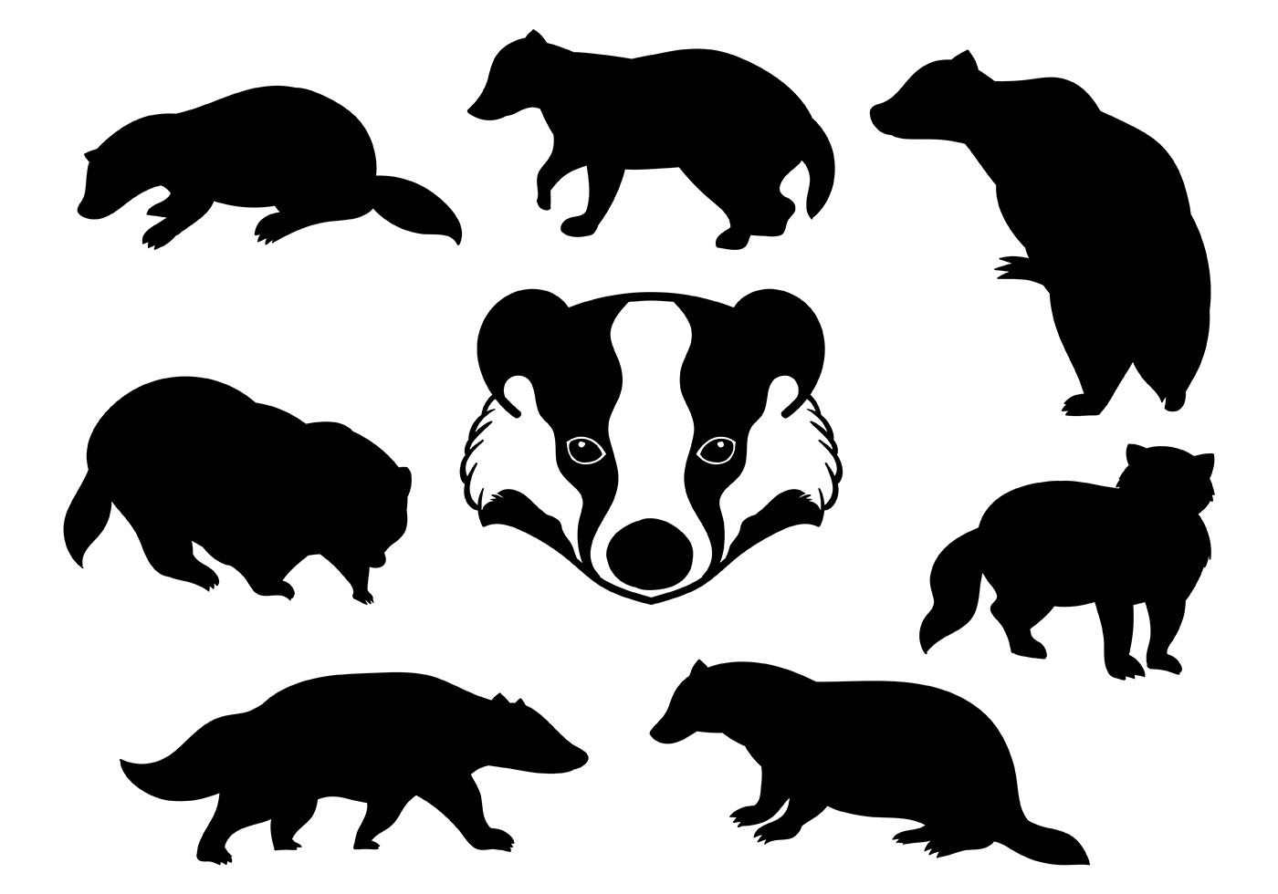 1400x980 Badger Vector