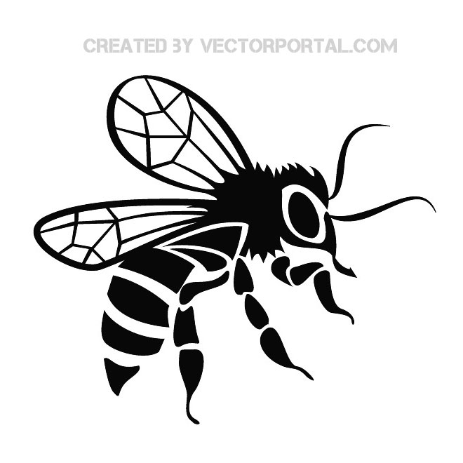 660x660 Bee Graphics Free Vector Free Vectors Ui Download
