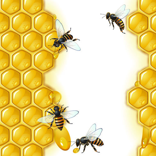 500x500 Realistic Honey And Bees Vector Graphics Free Vector In