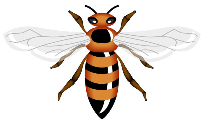 690x431 Vector Honey Bee