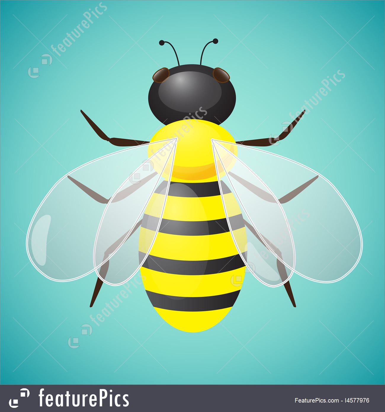 1300x1392 Bee Vector