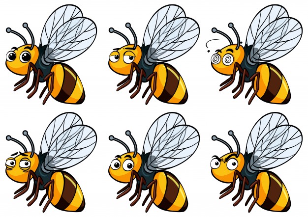 626x442 Bee Vectors, Photos And Psd Files Free Download