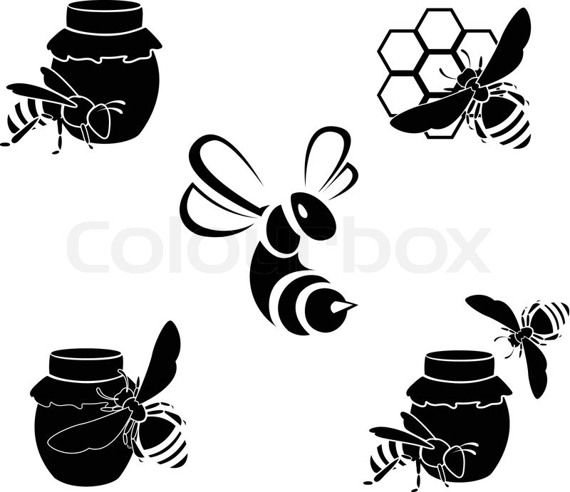800x691 Honey Vector Icons Isolated On White Background