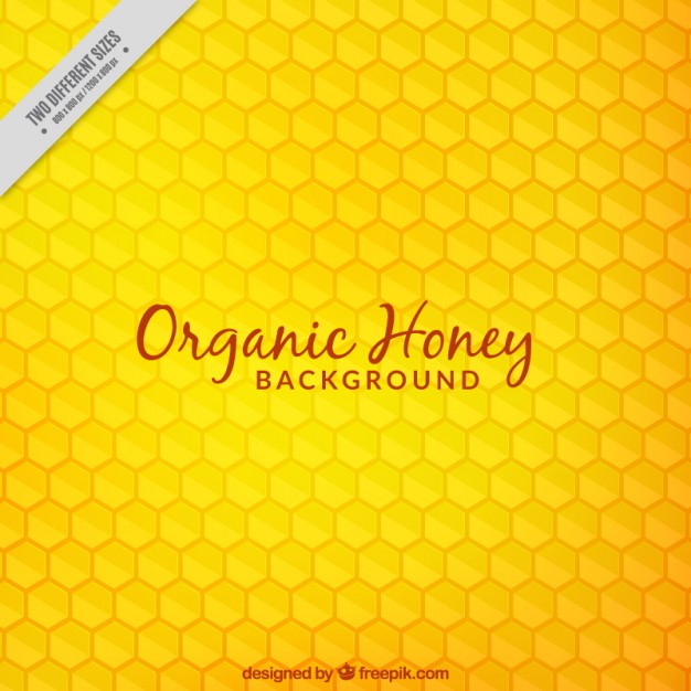 626x626 Honeycomb Vectors, Photos And Psd Files Free Download