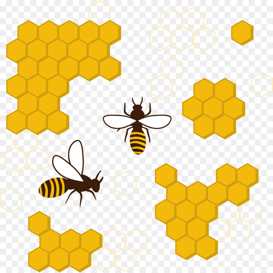 900x900 Honey Bee Honeycomb Insect Clip Art
