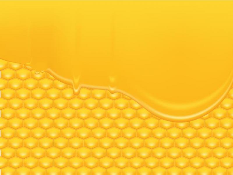 800x600 Honeycomb Vector Frame Backgrounds For Powerpoint Templates