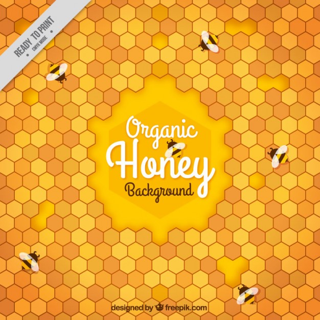 626x626 Honeycomb Vectors, Photos And Psd Files Free Download