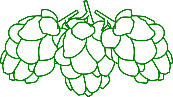600x338 Hop Clipart Hop Cone