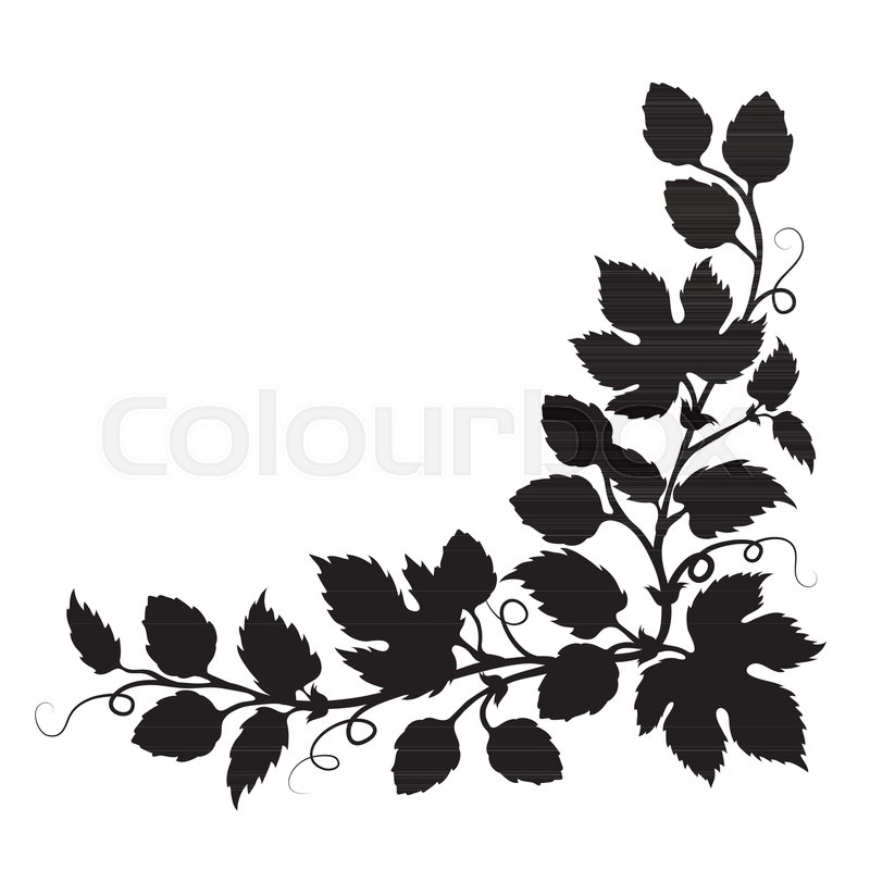 800x800 Hops Cones And Flowers With Leaves, Hand Drawn Vector Silhouette
