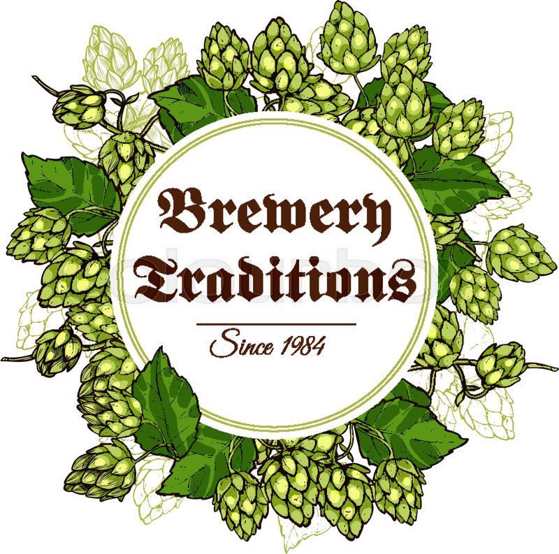 800x793 Hop Vector Poster Of Hops Seed Cones And Flowers Branches And