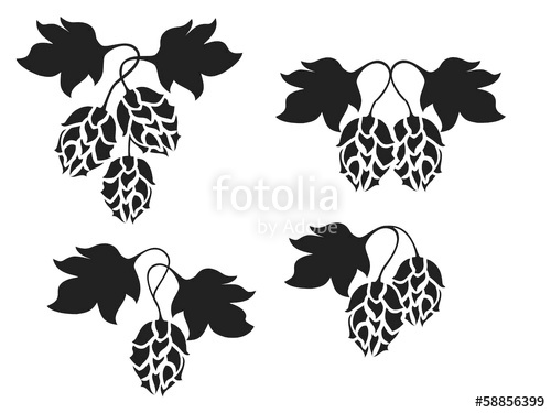 500x375 Hops Vector Design Stock Image And Royalty Free Vector Files On