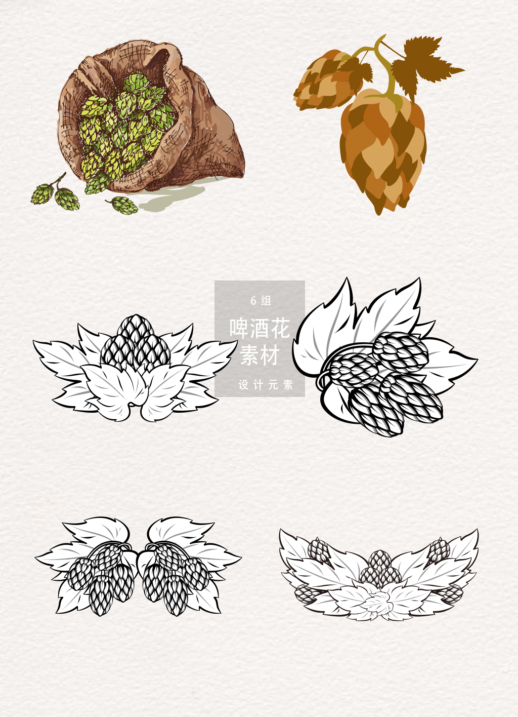 1024x1416 Hand Drawn Beer Festival Hops Vector Free Download Ai Files