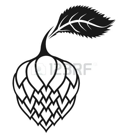 418x450 Hops Vector Drawing Crazywind