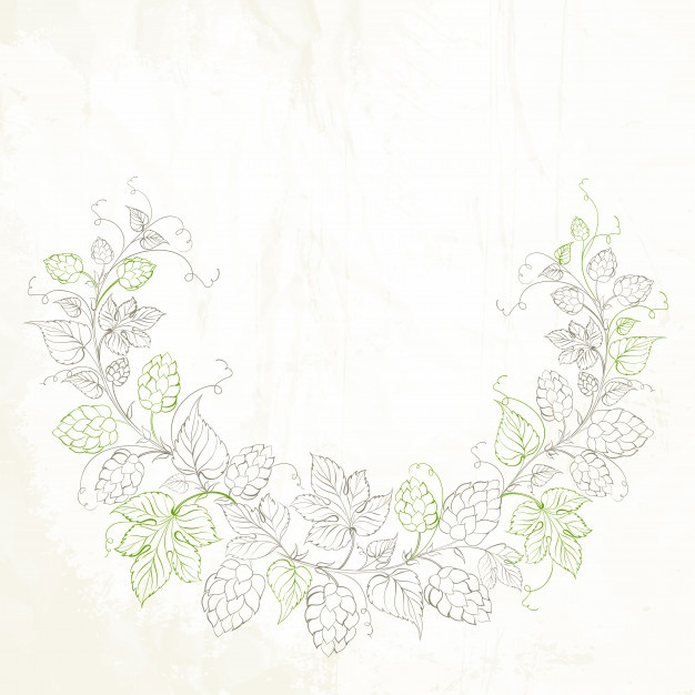 626x626 Hops Vectors, Photos And Psd Files Free Download