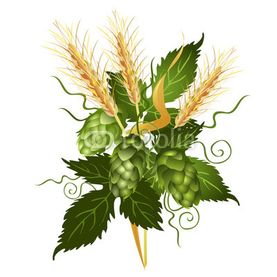 400x400 Hop Vine And Barley Ears. Realistic Vector Illustration Isolated