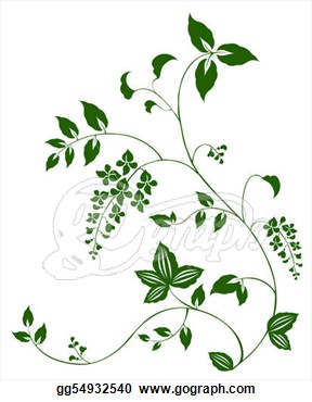 288x370 Perennial Vine Clipart
