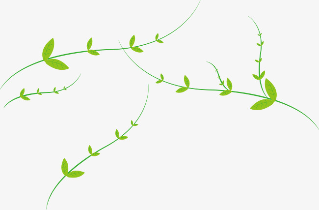 650x427 Vines Free Vector